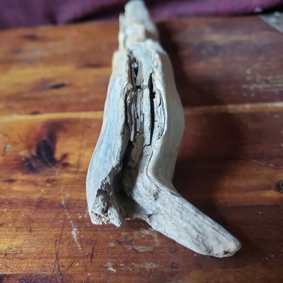 Driftwood Decor - 13" - Terrarium Taxidermy Aquarium Aquascape Reptile Parrott - Picture 4 of 9